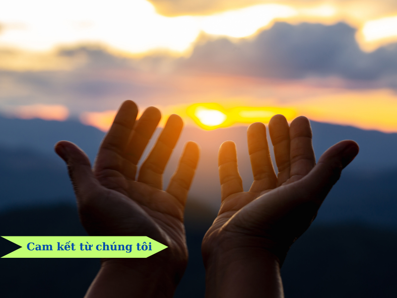 Cam kết từ chúng tôi